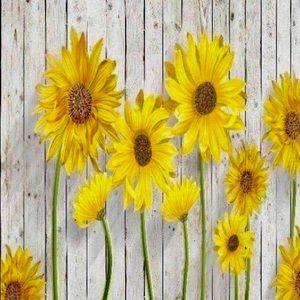 Meet your Posher, Sue